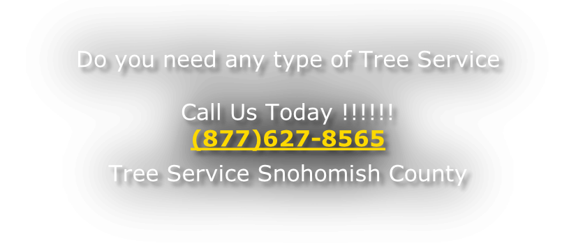 Do you need any type of Tree Service  Call Us Today !!!!!! (877)627-8565 Tree Service Snohomish County