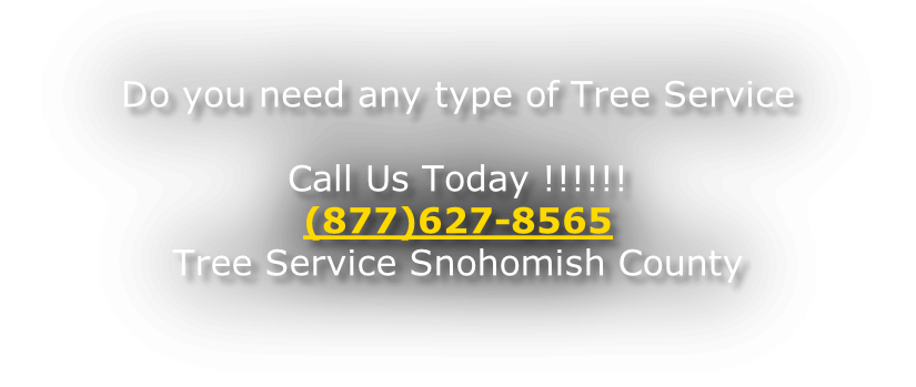 Do you need any type of Tree Service  Call Us Today !!!!!! (877)627-8565 Tree Service Snohomish County